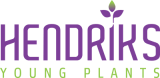 Hendriks Young Plants B.V. logo