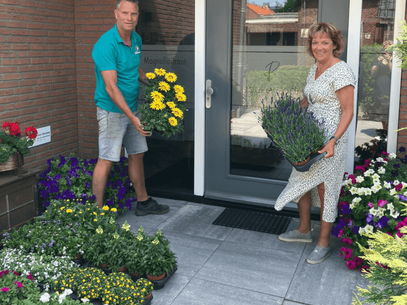 Perkgoed gekregen kwekerij grootscholten 